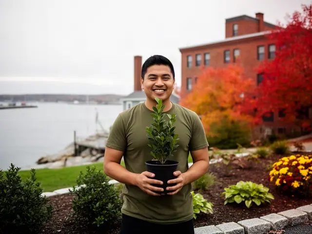 A landscaper holding a potted plant in a new front-yard bed.